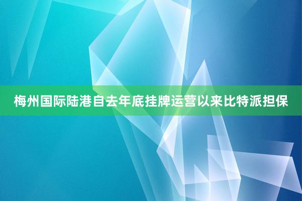 梅州国际陆港自去年底挂牌运营以来比特派担保