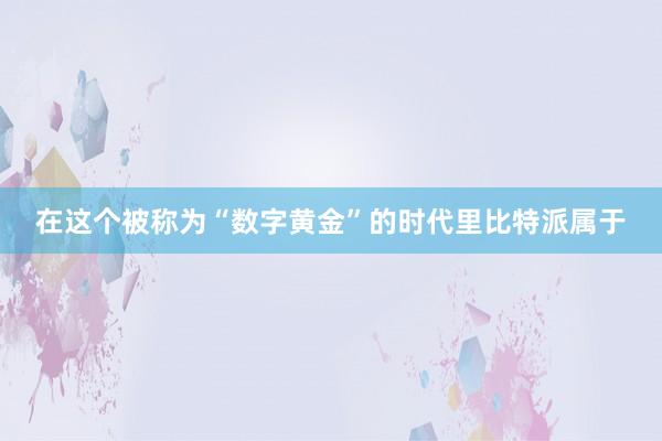 在这个被称为“数字黄金”的时代里比特派属于