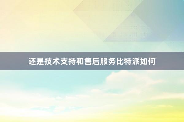 还是技术支持和售后服务比特派如何