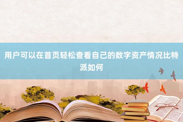 用户可以在首页轻松查看自己的数字资产情况比特派如何