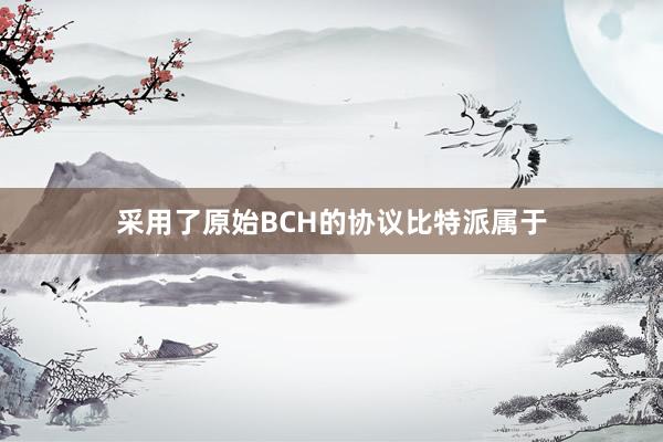 采用了原始BCH的协议比特派属于