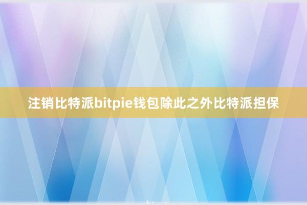 注销比特派bitpie钱包除此之外比特派担保