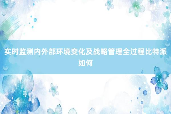 实时监测内外部环境变化及战略管理全过程比特派如何