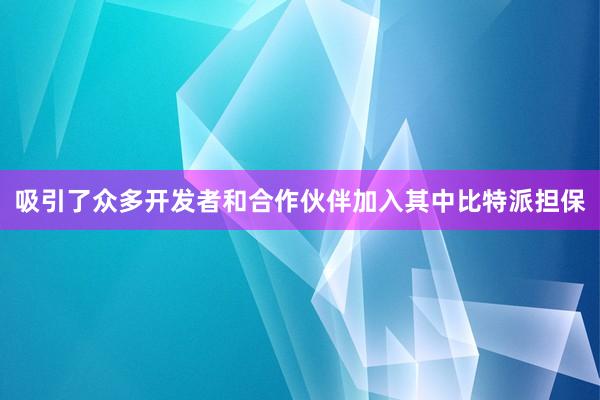 吸引了众多开发者和合作伙伴加入其中比特派担保