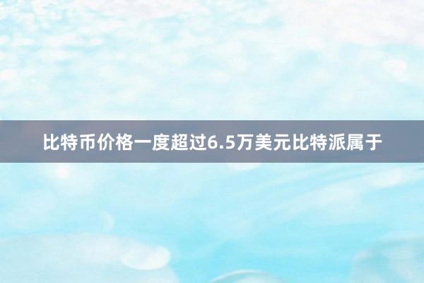 比特币价格一度超过6.5万美元比特派属于