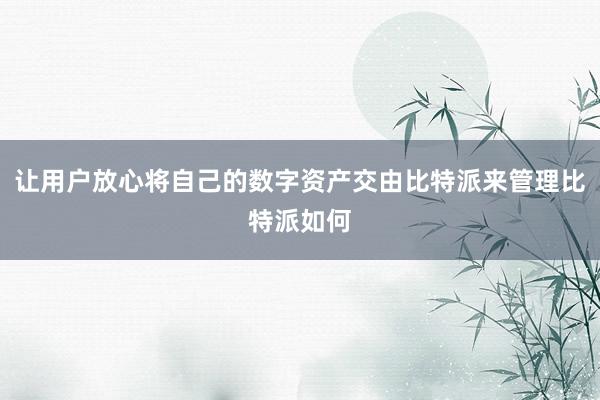 让用户放心将自己的数字资产交由比特派来管理比特派如何