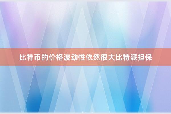 比特币的价格波动性依然很大比特派担保