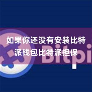 如果你还没有安装比特派钱包比特派担保