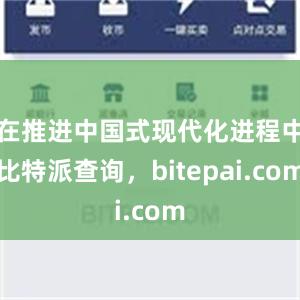 在推进中国式现代化进程中比特派查询，bitepai.com