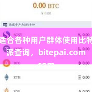 适合各种用户群体使用比特派查询，bitepai.com