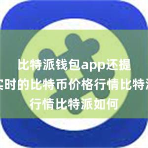 比特派钱包app还提供了实时的比特币价格行情比特派如何