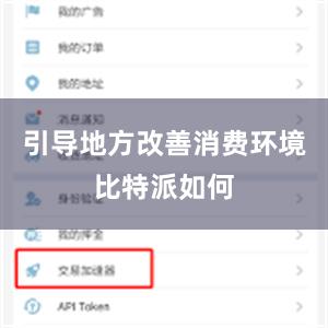 引导地方改善消费环境比特派如何