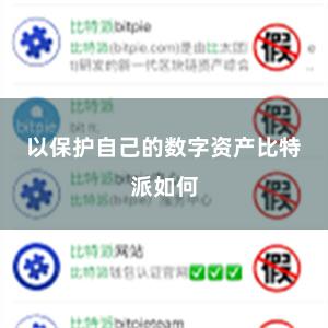 以保护自己的数字资产比特派如何