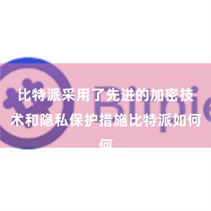 比特派采用了先进的加密技术和隐私保护措施比特派如何