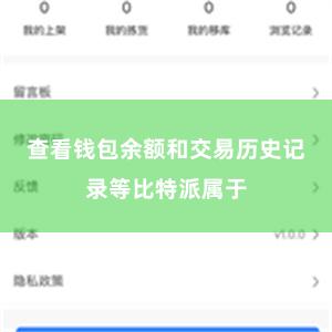 查看钱包余额和交易历史记录等比特派属于