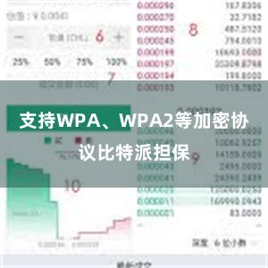 支持WPA、WPA2等加密协议比特派担保